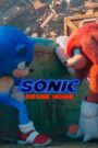 Sonic 2: La película